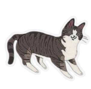 Happy Cat